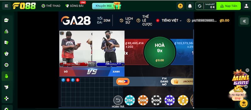 trận đấu từ trường gà hàng đầu thế giới